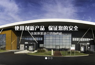 上海建網(wǎng)站公司成功簽約法國(guó)代福中國(guó)，助力企業(yè)數(shù)字化升級(jí)